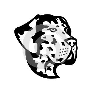 Head of Great Dane Deutsche Dogge German Mastiff or Dogue Allemand Mascot Side View Mascot Retro Black and White