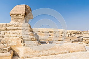 Head of The Great Sphinx of Giza