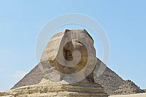 The head of the Great Sphinx of Giza, Cairo, Egypt.