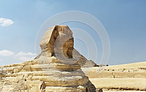The head of the Great Sphinx of Giza, Cairo, Egypt.