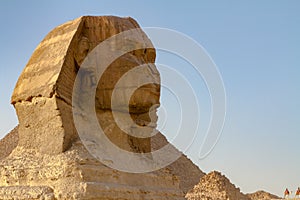 Head of Great Sphinx at the Great Pyramids of Giza Complex, Giza, Egypt