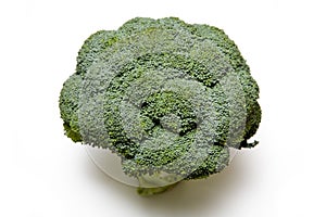 Head of green broccoli