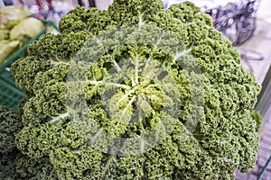 The head of a green kale on the market in full.
