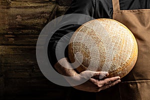 A head of hard cheese in man's cheesemaker hands. marble cheese