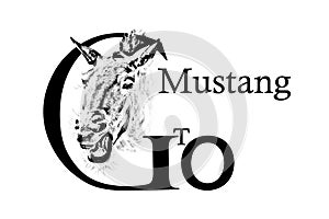 Head horse and inscription Go, Gto, Mustang