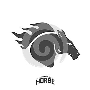 Head Horse logo design vector. Horse Fire logo template. Illustration Vector photo