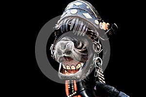 Head of a horse with reins in the festival of San Antoni Abad, protector of animals