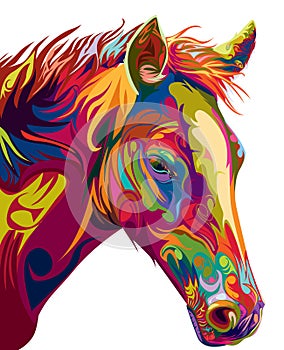 Head horse vector