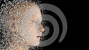 Head Human shattered portrait