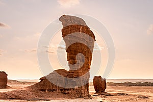 Head of a King Cobra - Namibe desert in Angola - Africa photo