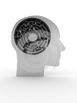 Head with labyrinth. 3D image