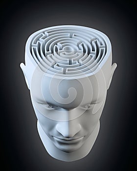 Head with a labyrinth inside