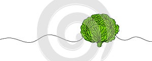Head lettuce in continuous line art drawing style. Iceberg or crisphead lettuce design isolated on white background photo