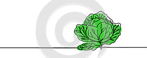 Head lettuce in continuous line art drawing style. Iceberg or crisphead lettuce design isolated on white background photo