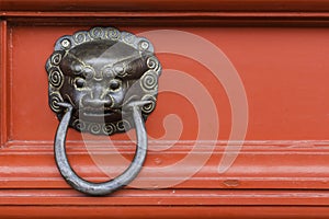 Head lion on red door knock background.