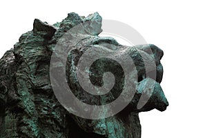 Head of Lion Sculpture at Chicago Art Institute