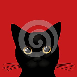 The head of a little black cat on a red background.