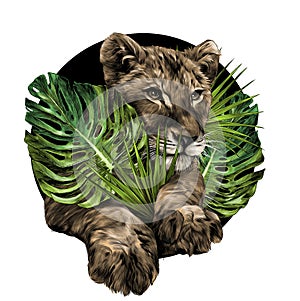 head of a little lion cub surrounded by tropical plants and leaves composition