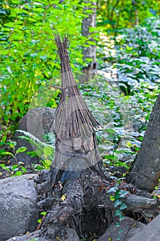 Head made of tree roots. crafts made of wood. craftwork