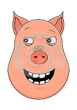 Head of malevolent pig in cartoon style. Kawaii animal.