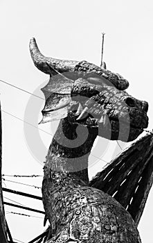 Head of metal sculpture dragon and blur background by black & wh