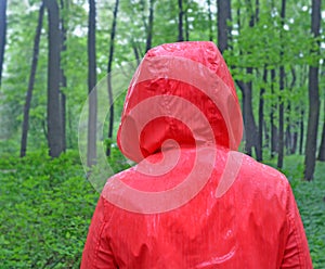 Head and nape of a person in a waterproof raincoat in the rain