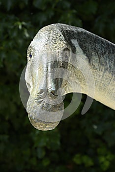 Head and neck reconstruction of dinosaur