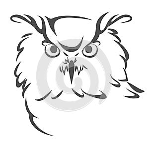 Head of an owl, design element, vector illustration
