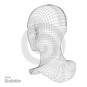 Head of the Person from a 3d Grid. Human Wire Model. Polygon . Face Scanning. View . Geometric Design. Polygonal