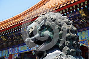 Head portrait of bronze Chinese guardian lion statue