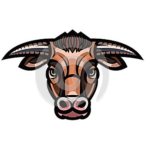 Head of powerful horned bull