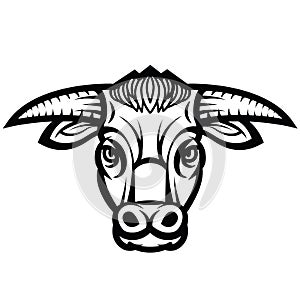 Head of powerful horned bull
