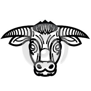Head of powerful horned bull