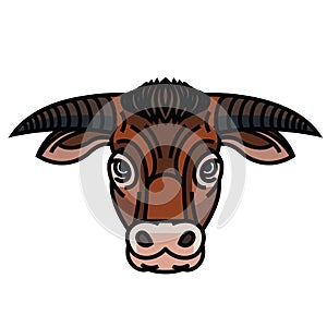 Head of powerful horned bull