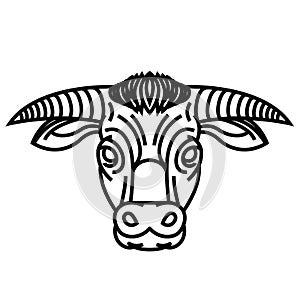 Head of powerful horned bull