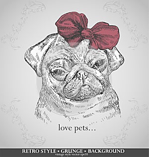 Head pug dogs in retro style. Hand drawn 