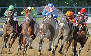 Head On Racing Action