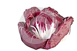 Head of radicchio salad