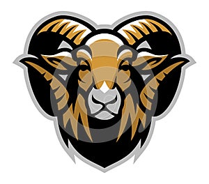 Head of ram mascot