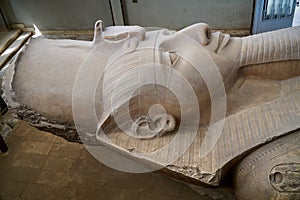 The Head of Ramesses the Great