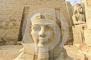 Head of Ramses II, Luxor Temple, Egypt