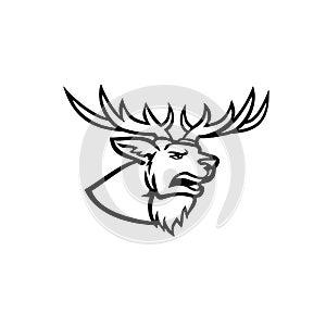 Head of a Red Deer or Cervus Elaphus Stag or Buck with Antlers Roaring Side View Mascot Black and White