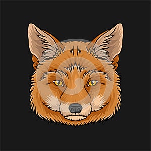 Head of red fox, face of wild animal hand drawn vector Illustration