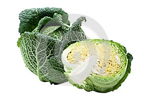 Head of ripe Savoy cabbage and half isolated