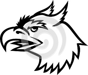 Head of Roc Legendary Bird Mascot