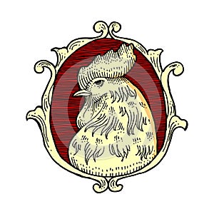 Head of rooster or cock inside round frame decorated with ribbon hand drawn in vintage