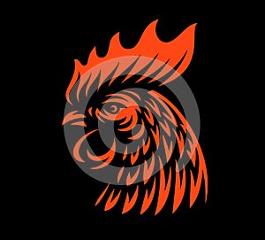 Head rooster illustration on dark background