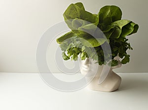 Head-shaped vase with lettuce and parsley. The concept of healthy eating and healthy thinking. Vegan food concept. photo