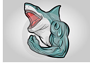 Head of Shark Logo Vector Mascot Aquatic Predator Dangerous