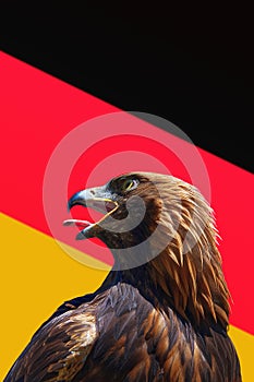 Head shot of a eagle against a tricolor background in black red gold